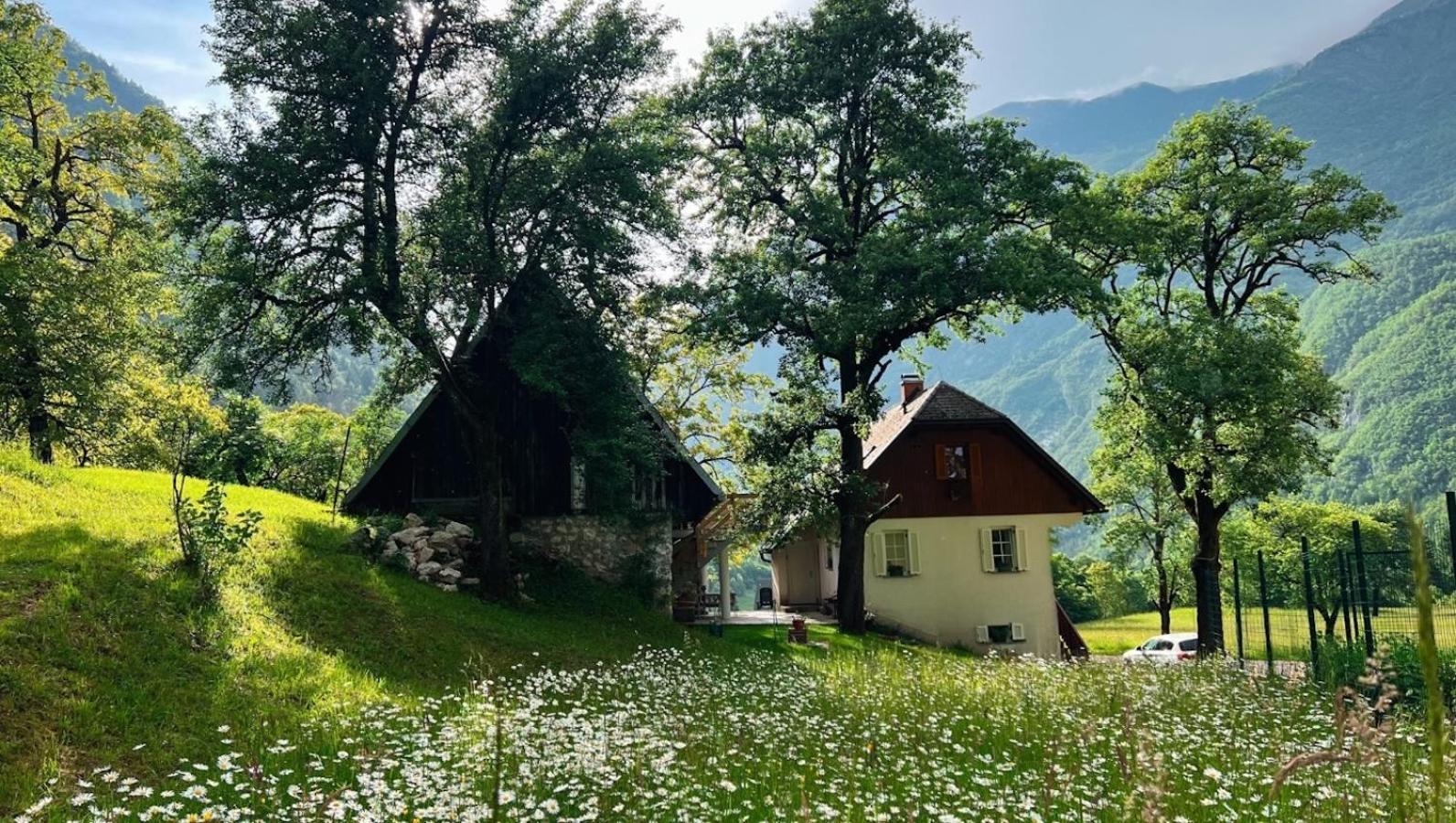 Apartments Mala Korita Soce Soca Exterior photo